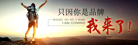 ֻ������Ʒ��,������