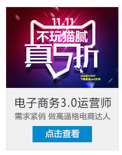 �Ƶ���3.0����ʦ